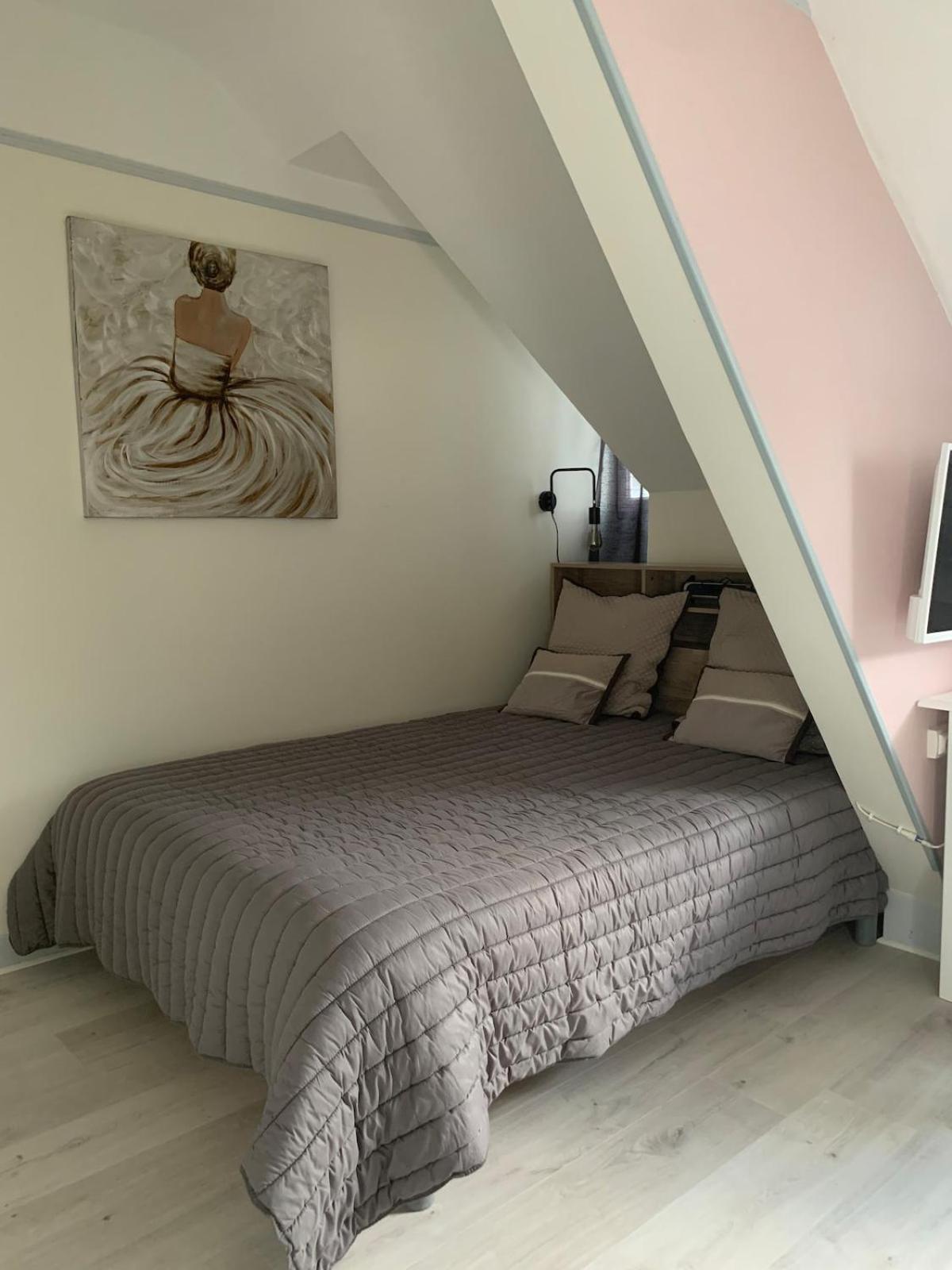 Pyrene Holidays - Heracles - Residence Paisible A 6Mn A Pied Des Thermes Bagnères-de-Bigorre Kamer foto